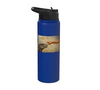 Dinosaur Velociraptor Evolution Creationism God Darwin Stainless Steel Insulated Water Bottle