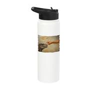 Dinosaur Velociraptor Evolution Creationism God Darwin Stainless Steel Insulated Water Bottle