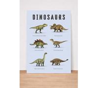 Dinosaurs Educational Print, Poster, T-Rex, Triceratops, Stegosaurus, Velociraptor, Brachiosaurus, Ankylosaurus. Size A4