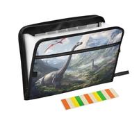 Dinosaurs in The Mountains Expanding File Folder A4,13 Pockets File Organiser, Paperwork A4 Plastic Wallet Document Storage Expander for School,Office and Home