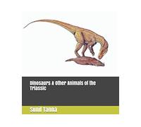 Dinosaurs & Other Animals of the Triassic: 2 (The History of Life)
