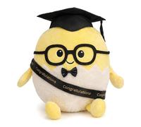 DINSAGE Graduation Gifts Him or Her,Class of 2026 Proud of You Presents for Son Daughter, Cute Egg Plush for Preschool Kindergarten Elementary High School College PhD Graduate