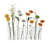 Dinyeo Hinged Flower Vase Different Heights Clear Cylinder Tiny Glass Foldable Vase Test Tube Propagation Station