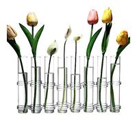 Dinyeo Hinged Flower Vase Small Glass Foldable Test Tube Vase Propagation Station for Plant.(8 Pcs)