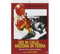 -DIO IN CIELO... ARIZONA IN TERRA