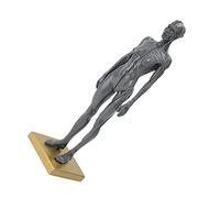 Dioche Human Musculoskeletal Anatomical Model Female Detailed Resin Sculpture for Teaching and Art Study 30cm Lifesize Demonstration Tool