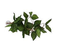 Dioche Terrarium Plant Silk Reptile Simulation Plant Decorative Landscaping False Vine for Reptile Rainforest Box, Eco-friendly Materials, Realistic Design, Perfect for Fish Tanks and (#5)