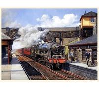 DIODARK Galloping Steam Train,Paint by Numbers for Adults,Classical Art Painting Living Room Study Office Background Wall Art Canvas Painting Unique Gift Home Decor 40x50cm