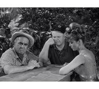 Diogenes, Won't You Please Go Home