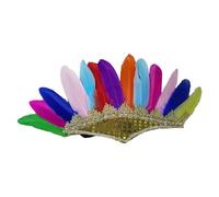 Diogeynu Ethnic Indian Feather Headband Role Play Costume Accessorie Hairband Carnivals Celebration Headdress FatTuesday Headwear Stage Headband