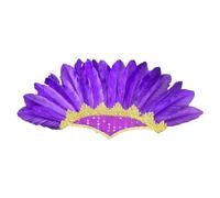 Diogeynu Ethnic Indian Feather Headband Role Play Costume Accessorie Hairband Carnivals Celebration Headdress FatTuesday Headwear Stage Headband