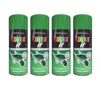 DIOXSTAR Green Grass Gloss Spray, Quick Drying Paint, All Purpose Spray Paint, Suitable for Metal, Plastic & Wood Surfaces, Interior & Exterior Use, 250ml (4 PCS)