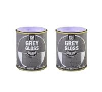 DIOXSTAR Grey Gloss Non-Drip Paint, Fast Drying, High Build, High-Performance Paint, Gloss Finish, Interior and Exterior Use, Suitable for Wood, Metal, 300ml (2 PCS)