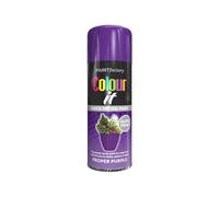 DIOXSTAR Purple Spray Paint, 250ml (1 PCS), Gloss Finish, Quick Drying, All Purpose for Metal, Wood, Plastic, Interior & Exterior Use