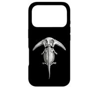 Diplocaulus Fossil - Permian Amphibian Vertebrate Art Case for iPhone 17 Pro