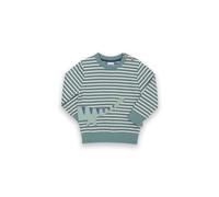 Dippy Dino Organic Cotton Sweatshirt Kite Green 5 Years