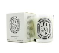 Diptyque - Figuier candle, green, Standard
