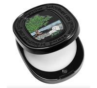 DIPTYQUE | Philosykos solid perfume 3g