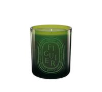 diptyque Standard Table Candle Green