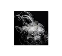 Dir En Grey - Beautiful Deformity - CD