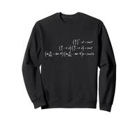 Dirac Equation Quantum Mechanics Particle Physics for Geeks Sweatshirt
