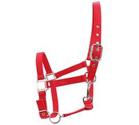 DIRBAK Accesorios para montar con cabestro de control de brida de caballo ajustable rojo engrosado de 6 mm Diseño de doble capa para montar a caballo Material PP duradero Espesor rojo 6