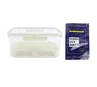 DIRBAK Food Storage Container with Drainer, Portable Handled Box for Refrigerator, Includes Ice Pack and Divider, 9.8x6.5 Inch