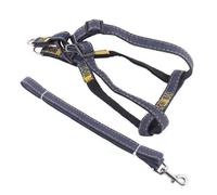 DIRBAK Pet Vest Harness and Leash Set, Adjustable Soft Comfortable Dog Cat Harness Leash for Outdoor Walking Training, Small Medium Large Breed, PP Cloth Material (Negro L)