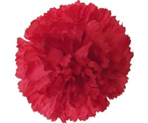 Direct Florist Supplies - Pack of 144 - Red 9cm Artificial Carnation Flower Picks Decorative Decoration Funeral