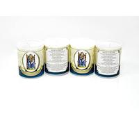 DIRECT FROM LOURDES Our Lady of Walsingham Votive Candles.