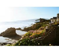 Direct Plants The Coastal Selection Hardy Shrub Plant Garden Border Mix Large Mature Plants Supplied In 3 Litre Pots - Pack Of 6