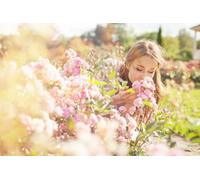 Direct Plants The Sensory Garden Border Mix Large Mature Plants Supplied In 3 Litre Pots - Pack Of 12