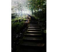 Direct Plants The Shade Lover Selection Hardy Shrub Plant Garden Border Mix Large Mature Plants Supplied In 3 Litre Pots - Pack Of 24