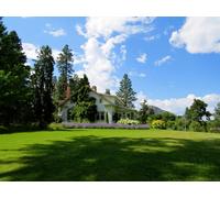 Direct Plants The Ultimate Evergreen Shrub Landscaping Mix, 100x Large Mature Plants Supplied in 3 Litre Pots in Green Direct Plants Green