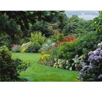 Direct Plants The Ultimate Hardy Flowering Shrub Landscaping Mix, 100X Large Mature Plants Supplied In 3 Litre Pots