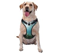 Direct Sunlight on The Seabed Dog Harness - Equipped with pet Leash Reflective Straps and Quick Release Buckles - Suitable for All Types of Dogs