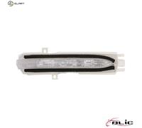 BLIC 5403-01-811862P Side indicator