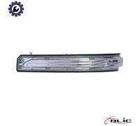 BLIC 5403-02-0808106P Side indicator