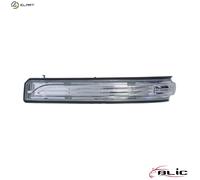BLIC 5403-02-0808106P Side indicator