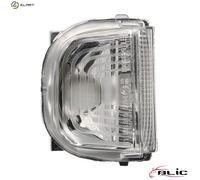 BLIC 5403-02-354105P Side indicator