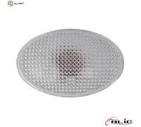 BLIC 5403-03-0428100P Side indicator