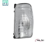 BLIC 5403-03-2391106P Side indicator
