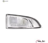 Turn signals BLIC 5403-09-052105P for RENAULT