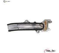BLIC 5403-18-1382106P Side indicator
