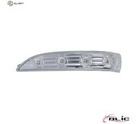 BLIC 5403-20-0546105P Side indicator