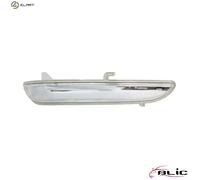 BLIC 5403-21-1883106P Side indicator