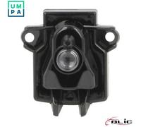 BLIC 5403-25-2297106P Side indicator