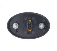Direction Indicator BLIC 5403-03-0427105YP for TRANSIT Van (FA_ _) 2 2000-2006