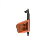 Direction Indicator DT SPARE PARTS 7.25310 for STRALIS I 12.882 2006-2012