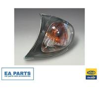 MAGNETI MARELLI 715010723905 Side indicator